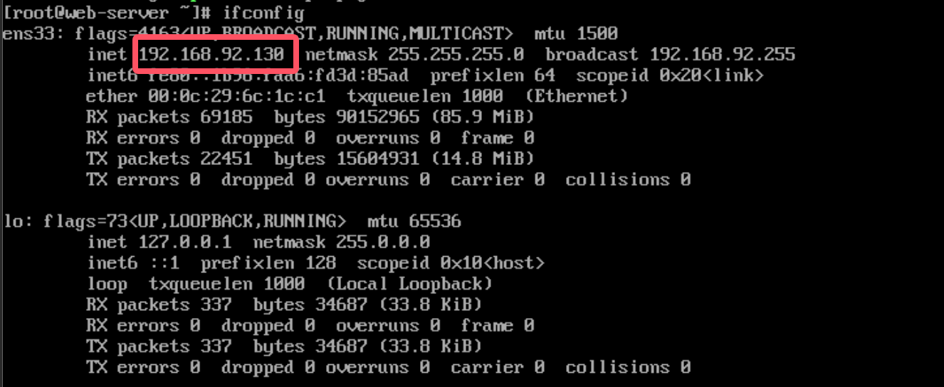 image-20241120174719874