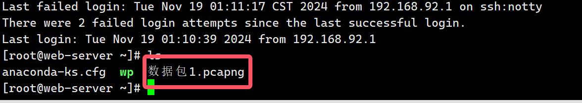 image-20241120175756011