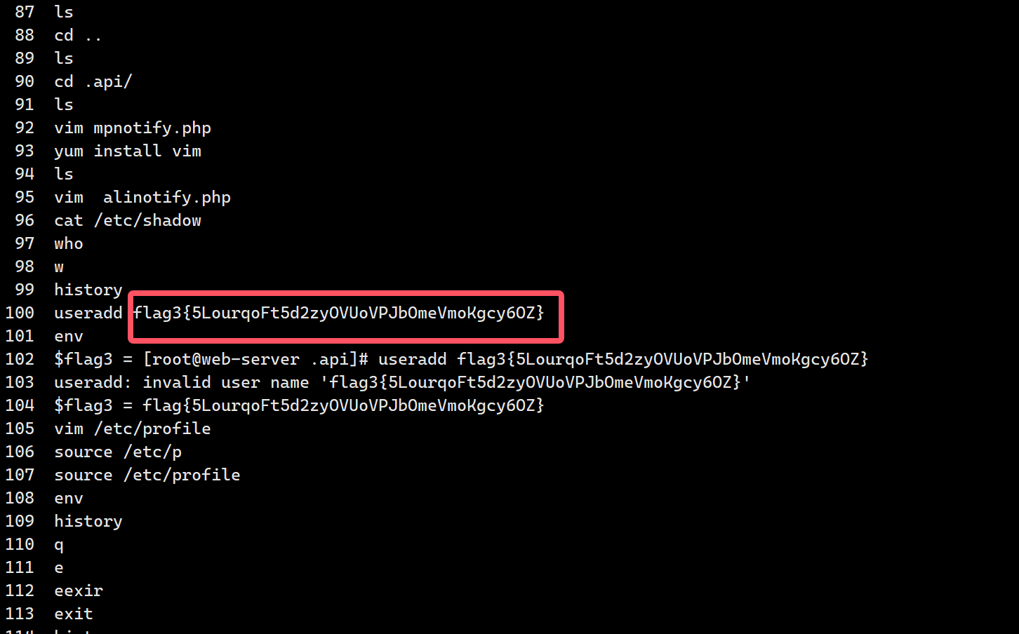 image-20241120192436250