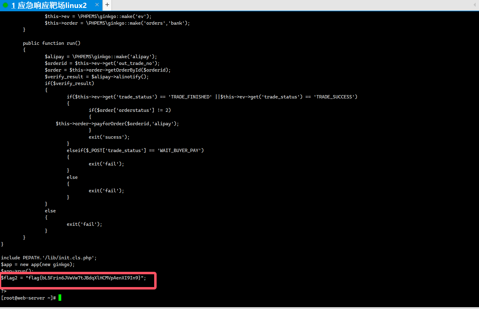 image-20241120193858413