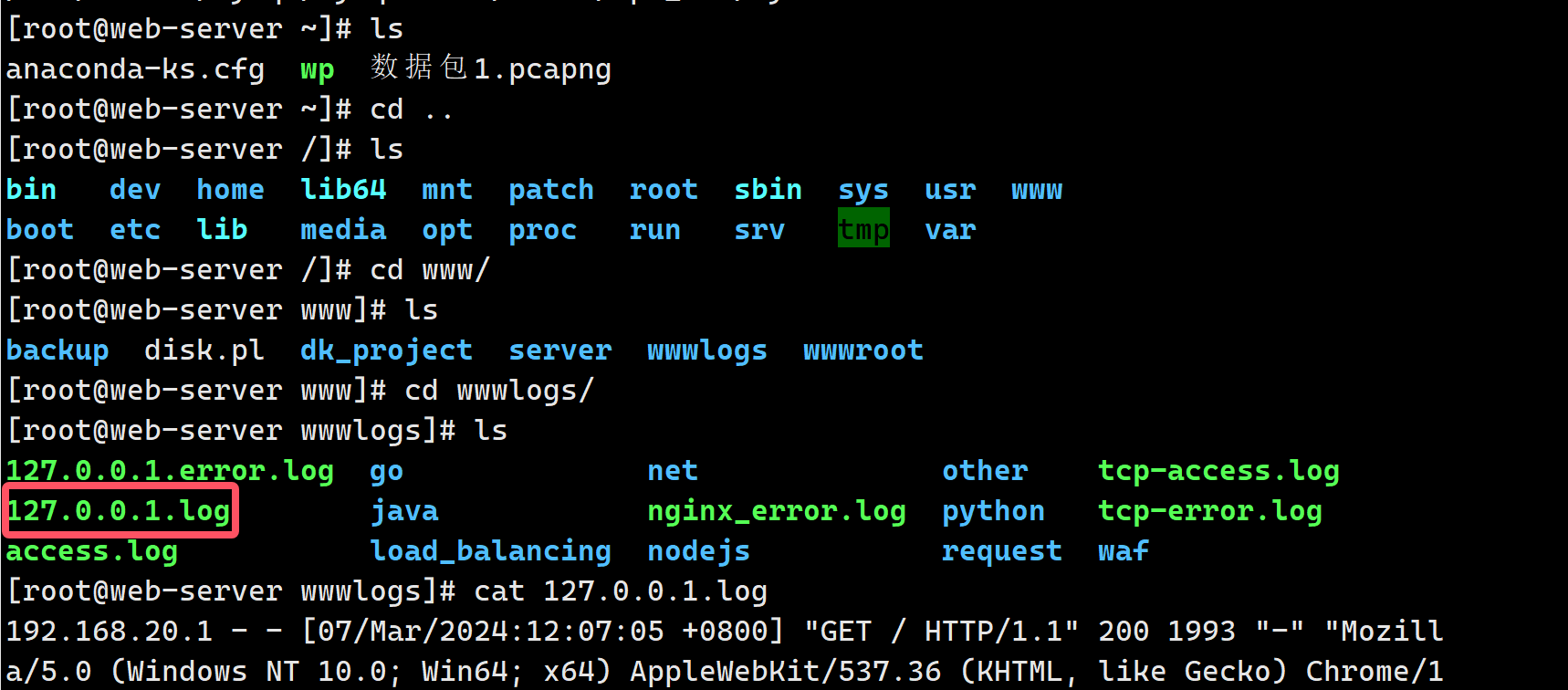 image-20241120195912930